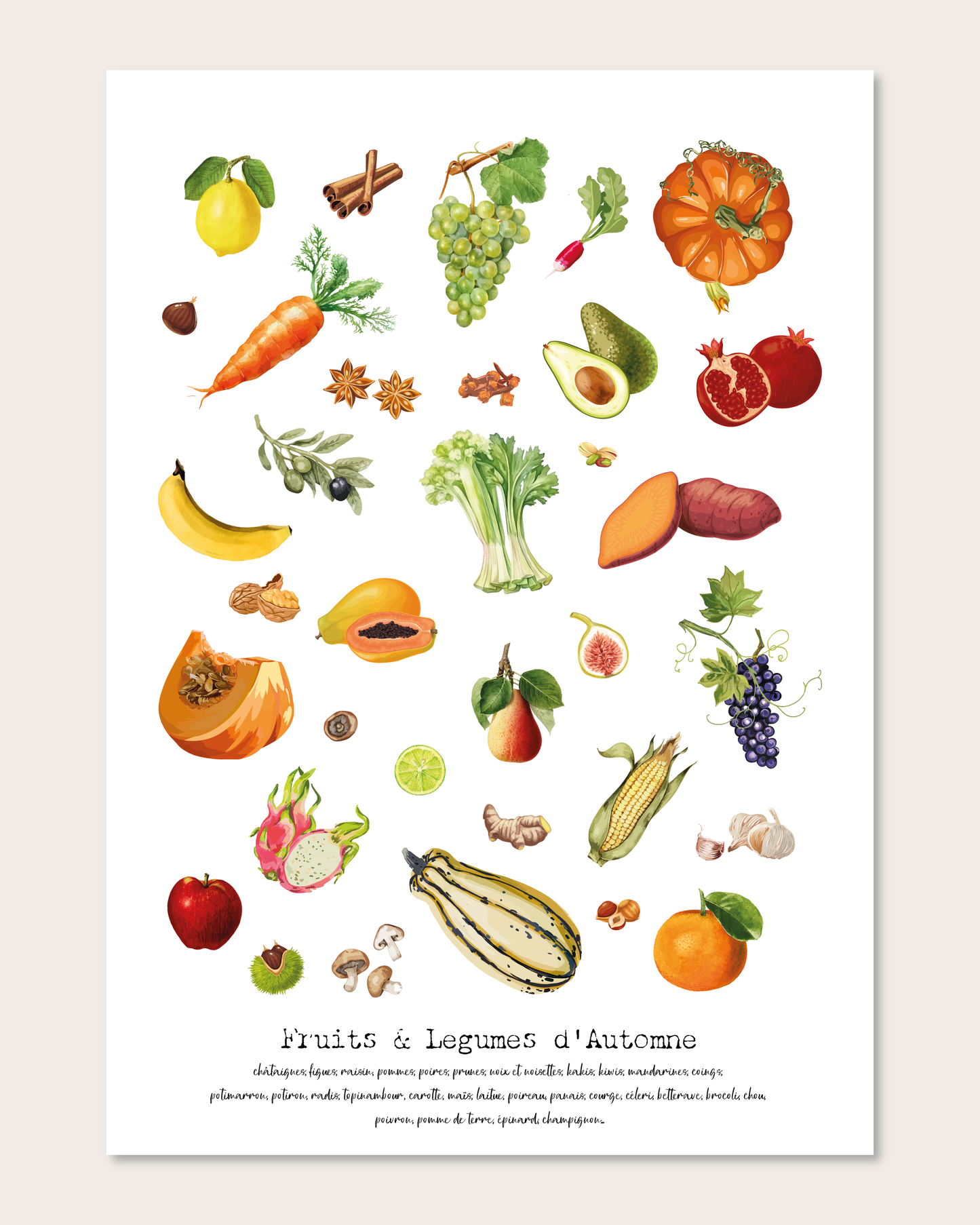 Illustrations Fruits & Légumes de Saison