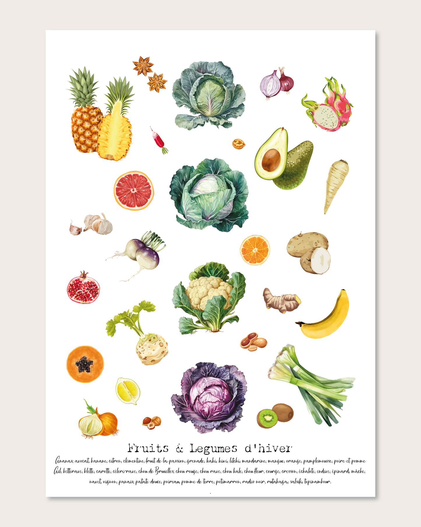 Illustrations Fruits & Légumes de Saison