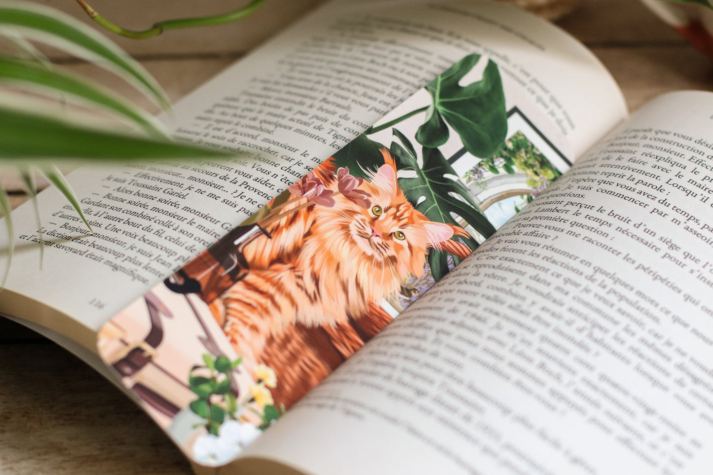 Marque Pages Maine coon