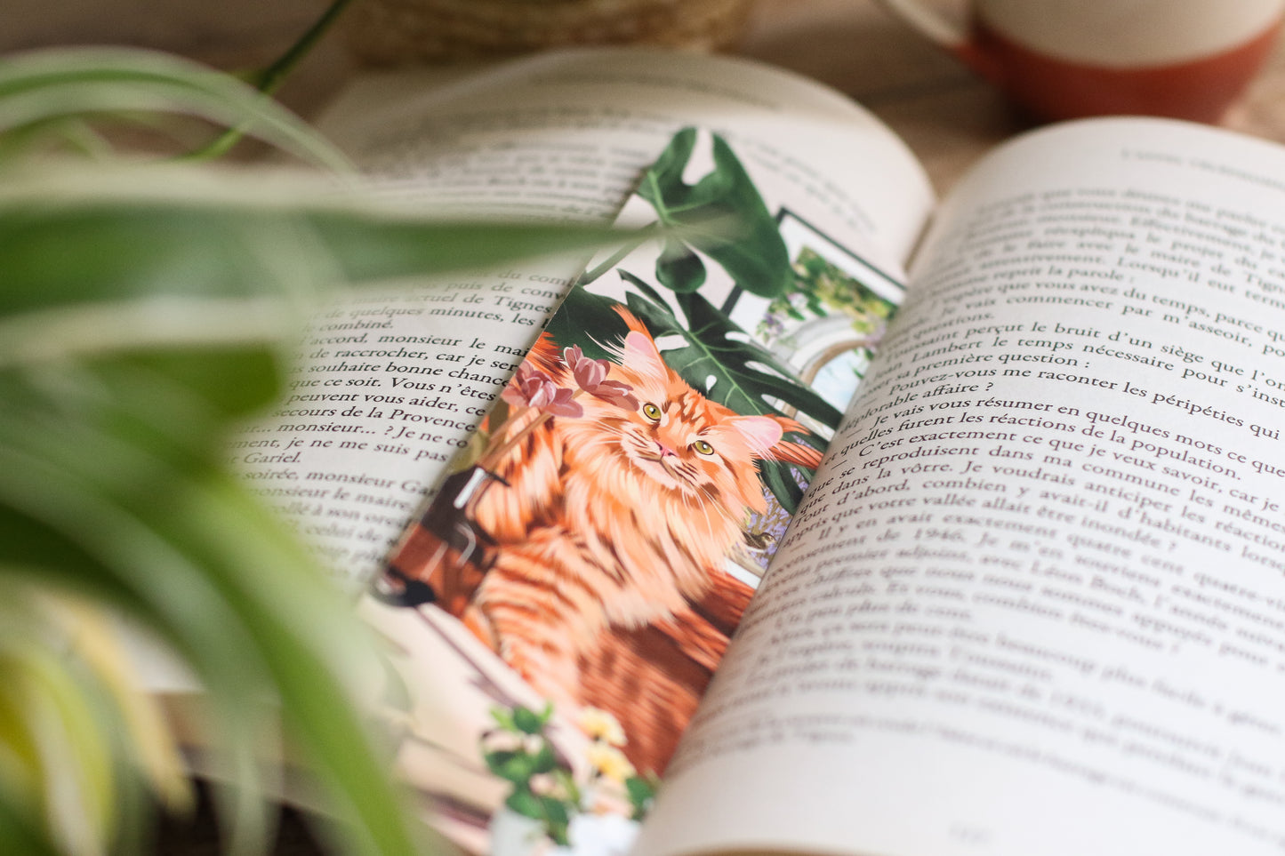 Marque Pages Maine coon