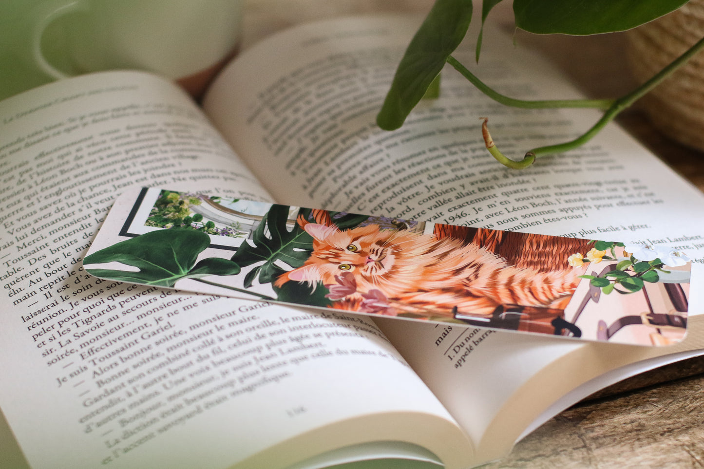 Marque Pages Maine coon