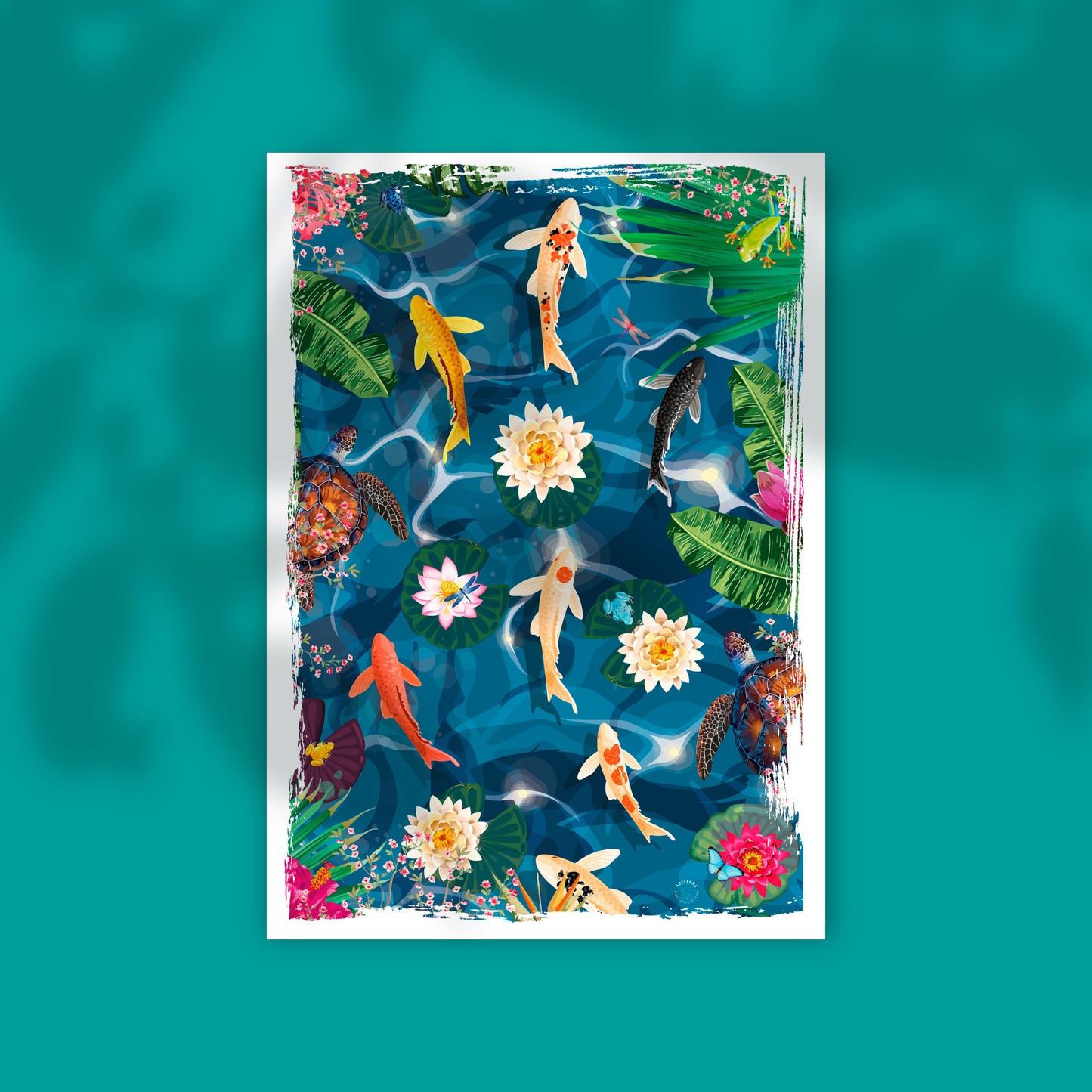 Illustration Carpe koi