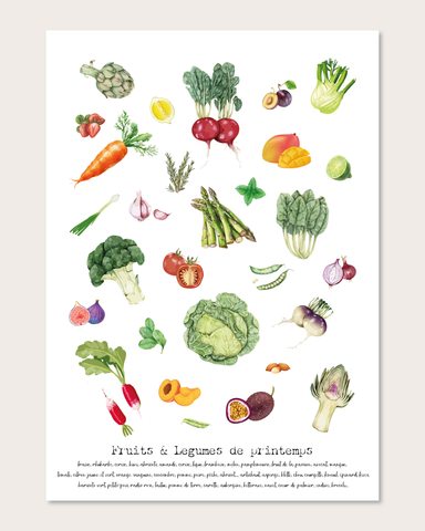 Illustrations Fruits & Légumes de Saison