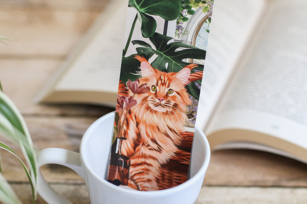 Marque Pages Maine coon