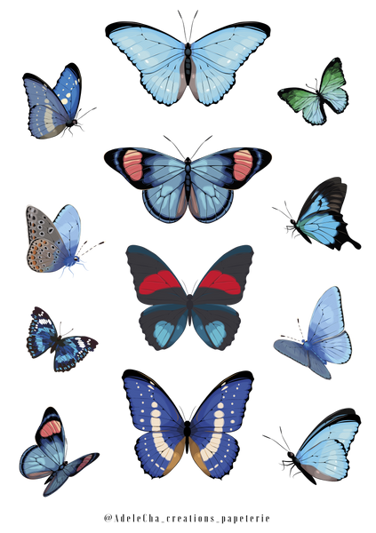 Stickers Blue butterfly