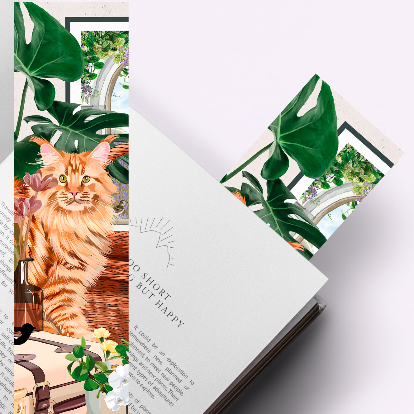 Marque Pages Maine coon